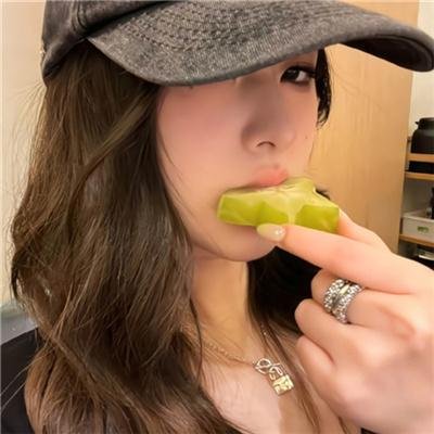 年鉴计划